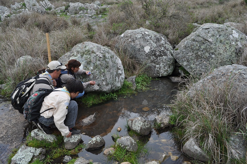 Friedman et al. 2016